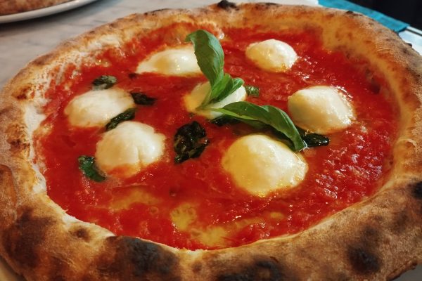 WhatsApp Image 2026-01-15 at 11.11.31